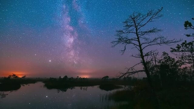 4K Yelnya Swamp Nature Landscape. Night Starry Sky Milky Way Galaxy With Glowing Stars And Moon. Famous Natural Landmark Time Lapse Time-Lapse Nature Marsh Hyperlapse. Night Sky Reflection In Water.