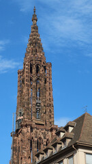 Flèche de la Cathédrale Notre-Dame - Strasbourg - 544050386
