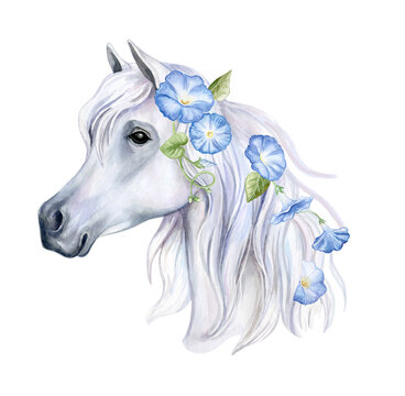 Face horse with blue flowers  isolated on white background. Watercolor. Illustration. Tamplate