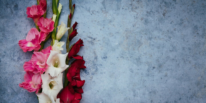 Banni&egrave;re florale avec gla&iuml;euls
