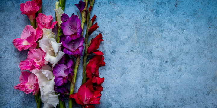 Banni&egrave;re florale avec gla&iuml;euls