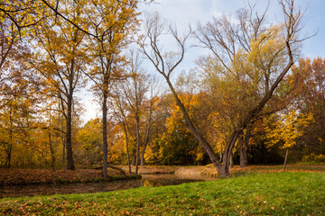 Beatuful vivid colorful autumn landscape reflecting at the river