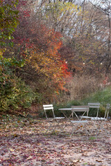 Autumn scenery, autumn yard, outdoor table, outdoor scenery, terrace, outdoor terrace