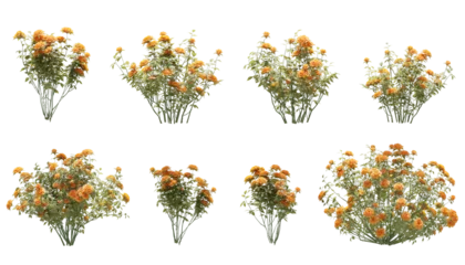 Fotobehang Bloemen orange rose flowers isolated on white, 3D render  © ANDRIBENKY