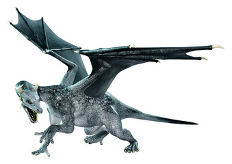 Fototapeta premium 3D Rendering Fairy Tale Dragon on White