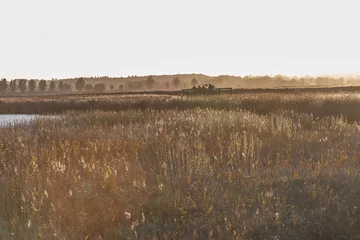 Deurstickers Vogelbeobachtung am Sehlendorfer Binnensee und Broek bei Hohwacht in der Hohwachter Bucht an der Ostsee © barbara buderath