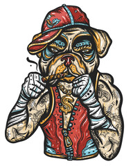 Dog. Crime boxer bulldog. Old school tattoo vector art. Hip-hop and gangsta lifestyle. Criminal street culture. Hand drawn graphic. Isolated on white. Traditional flash tattooing style