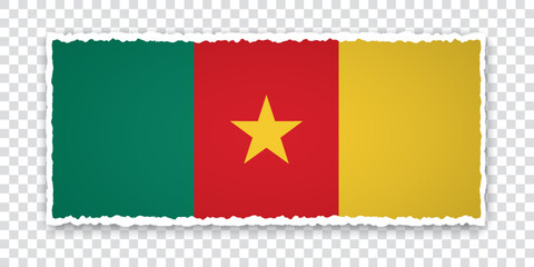 vector illustration of torn paper banner with flag of Cameroon on transparent background