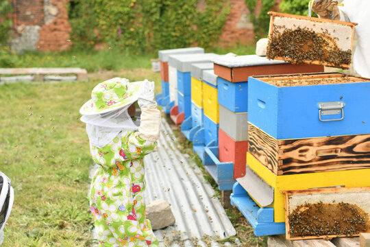 The beekeeper shows the beehive to the children