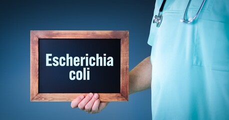 Escherichia coli (E. coli). Doctor shows sign/board with wooden frame. Background blue