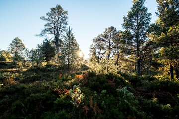 Hiking on the island of Sula, Norway