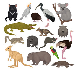 Australian animals set. Kangaroo, wild dog dingo, marsupial bear, koala, echidna, platypus, wombat cartoon vector illustration - obrazy, fototapety, plakaty