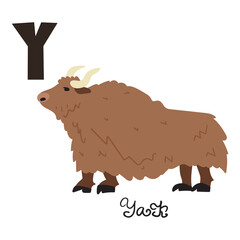 Yak. Letter Y. Flat hand drawn illustration on white background.