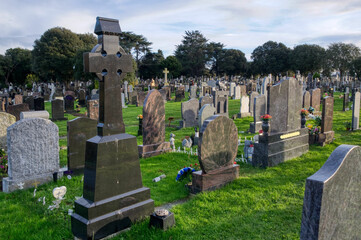 Naklejka premium cemetery in region