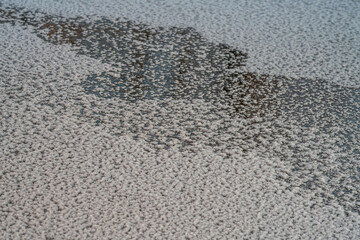 snowflakes on lake