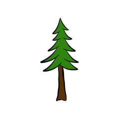 Hand drawn childish spruce tree in flat doodle style for creating forest background for children's book. Color fir-tree picture for simple kids design.