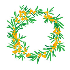 Naklejka premium Background with sea buckthorn: a branch of sea buckthorn, berries and leaves. Seamless floral pattern. Vector illustration.