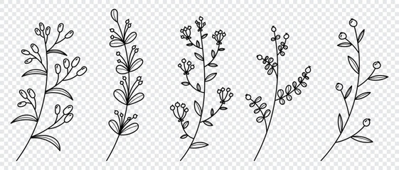 Set of vector plants and herbs. Hand drawn floral elements. Silhouettes of natural elements for seasonal backgrounds. Doodle style. Vector illustration
