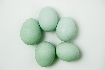 Organic blue eggs on a white background. Varieties of chicken eggs