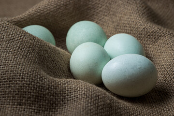 Organic blue eggs on burlap. Varieties of chicken eggs