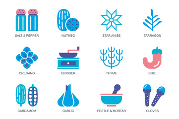 Herbs and Spices concept of web icons set in simple flat design. Pack of salt, pepper, nutmeg, star anise, tarragon, oregano, thyme, chili, cardamom, garlic, other. Vector pictograms for mobile app