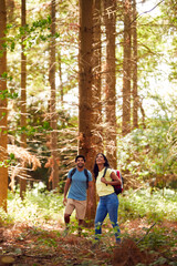 Naklejka na ściany i meble Couple With Backpacks Hiking Or Walking Through Woodland Countryside