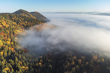 Aerial view of the foggy forest durin autumn