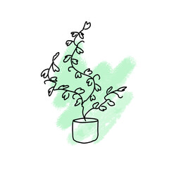 Ivy in a pot on the background of a green paint spot.Doodle potted flowers on a background of paint stains. Vector doodle on the background of a paint spot. 