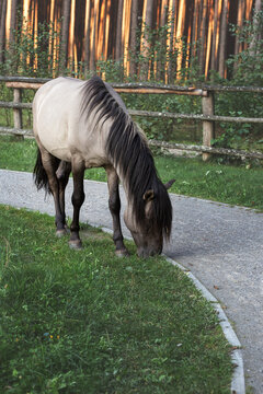 roztocze
