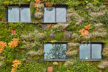 Exterior of a green sustainable building covered with blooming vertical hanging plants - 544102985