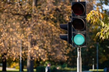 Green traffic light in semaphore closeup. Bright colored autumn background.
