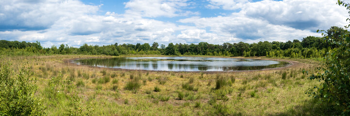 Panorama of a lake with reflections in a nature reserve in the Netherlands