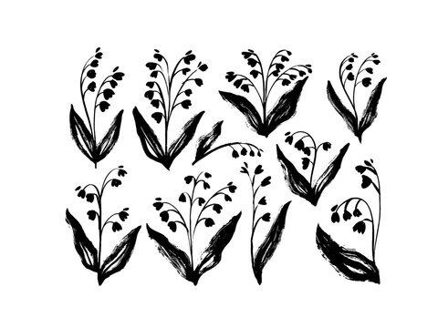 Brush drawn snowdrop flowers isolated on white background. Spring flowers with small blooming and thin stems. Vector small bells illustrations. Black and white botanical ink illustration.