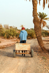Marocain sur une charette