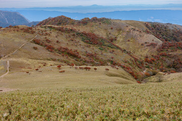 竜ヶ岳に見る紅葉の鈴鹿山脈