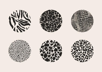 Set of social media stories highlights graphics. Vector animal fur print hand-drawn illustrations for covers, flat icons, and other purposes, isolated vector clipart on white background.