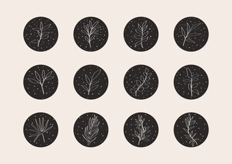 Social media highlight covers. Botalical boho set of minimal icons, simple bohemian hand drawn icons logo design. Vector custom illustration.