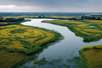 aerial view on the swamp of episy which is a site of biodiversity in seine et marne in france - obrazy, fototapety, plakaty