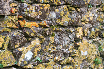 Old stone wall with yellow fungus and moss