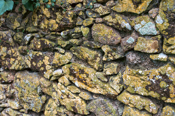 Old stone wall with yellow fungus and moss