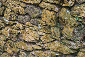 Old stone wall with yellow fungus and moss