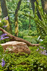 Tropical rainforest with rock, branches, grass, and flowers. Empty display stands for packaging products. Background for cosmetic products, the scene with green leaves