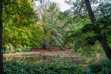 Tiergartens, Berlin, walk at the end of the summer