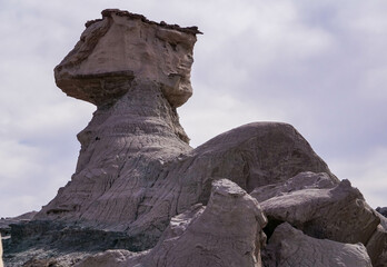 Paisaje Desértico