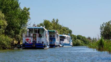 Boats in the swamps of the Danube Delta