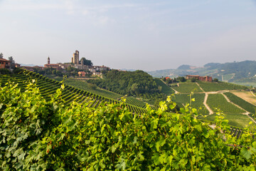 Looking Serralunga in Langhe region, Piedmont, Italy