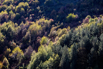 Naklejka na ściany i meble the colors of autumn in the Majella National Park. Abruzzo, Italy