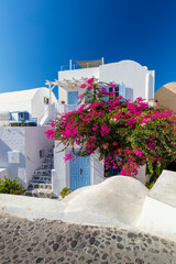 Santorini. Traditional Cycladic  street with blooming flowers in the summer, Santorini, Oia street,...