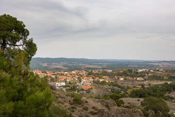 Obraz premium Dadia forest Restoration & Regrowth After Wildfire Evros Greece