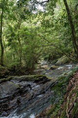 夏の終わりの野河内渓谷